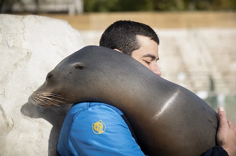 Un métier au zoo : à la rencontre des soigneurs animaliers